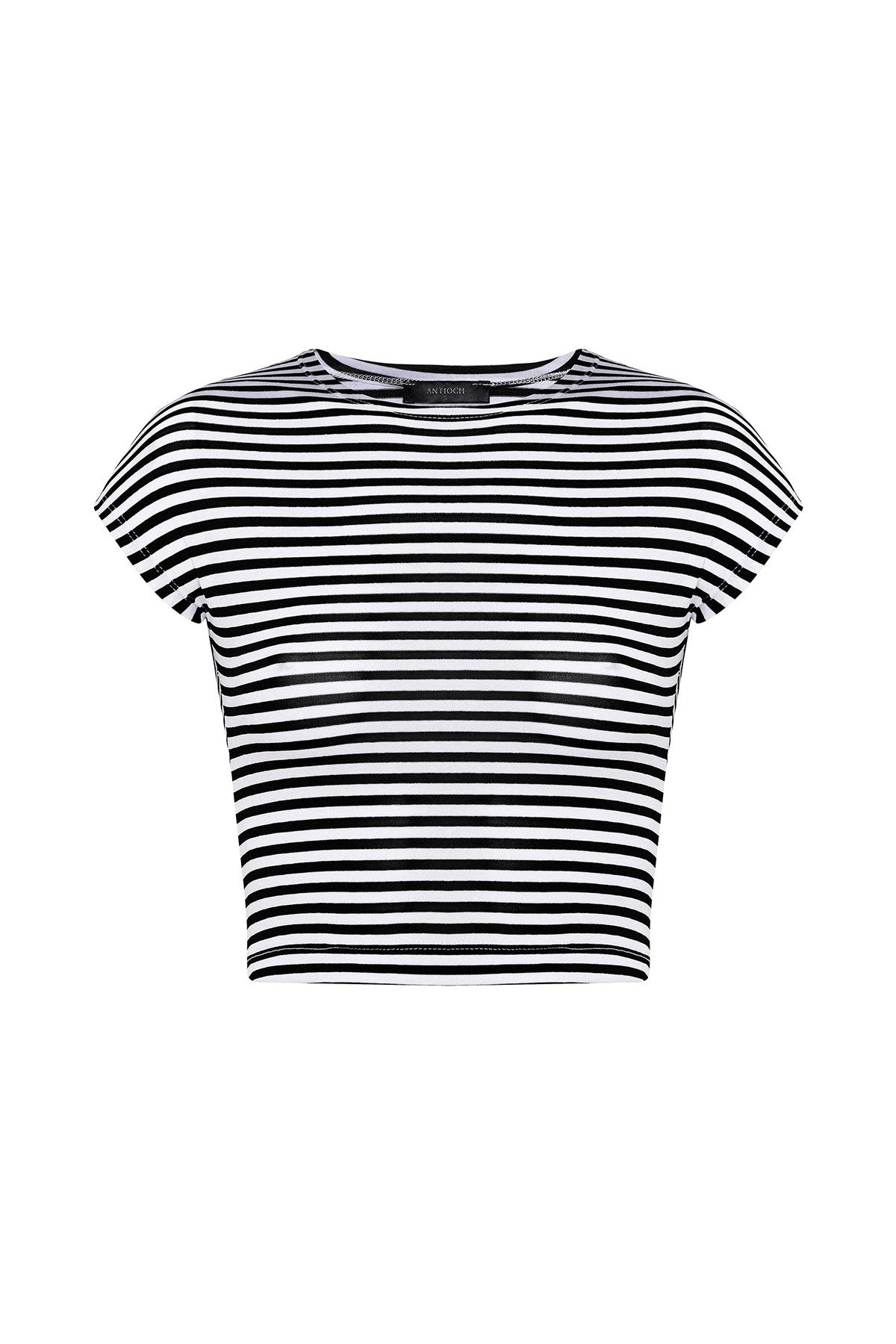 Antioch Crop Fit Çizgili Kadın T-Shirt
