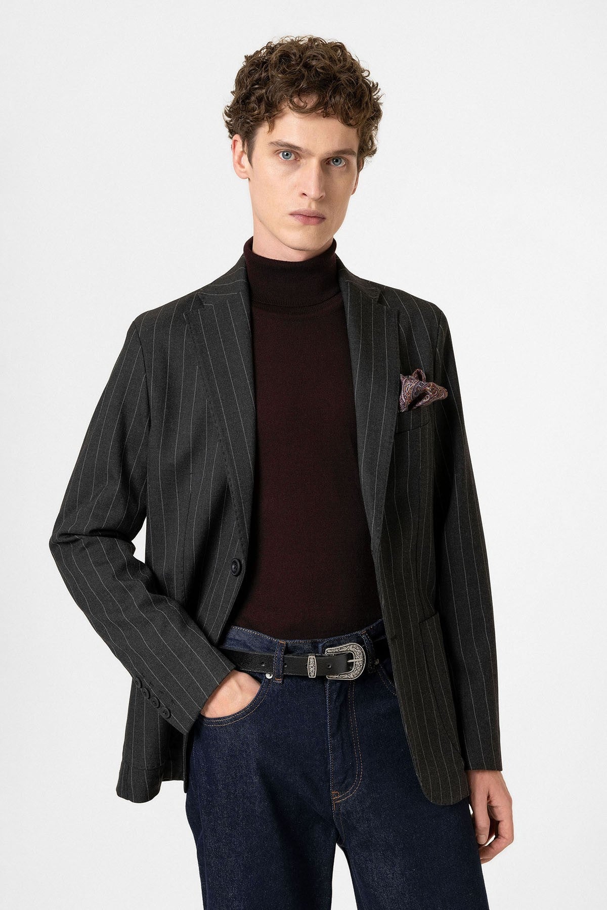 Antioch Slim Fit Çizgili Erkek Blazer Ceket