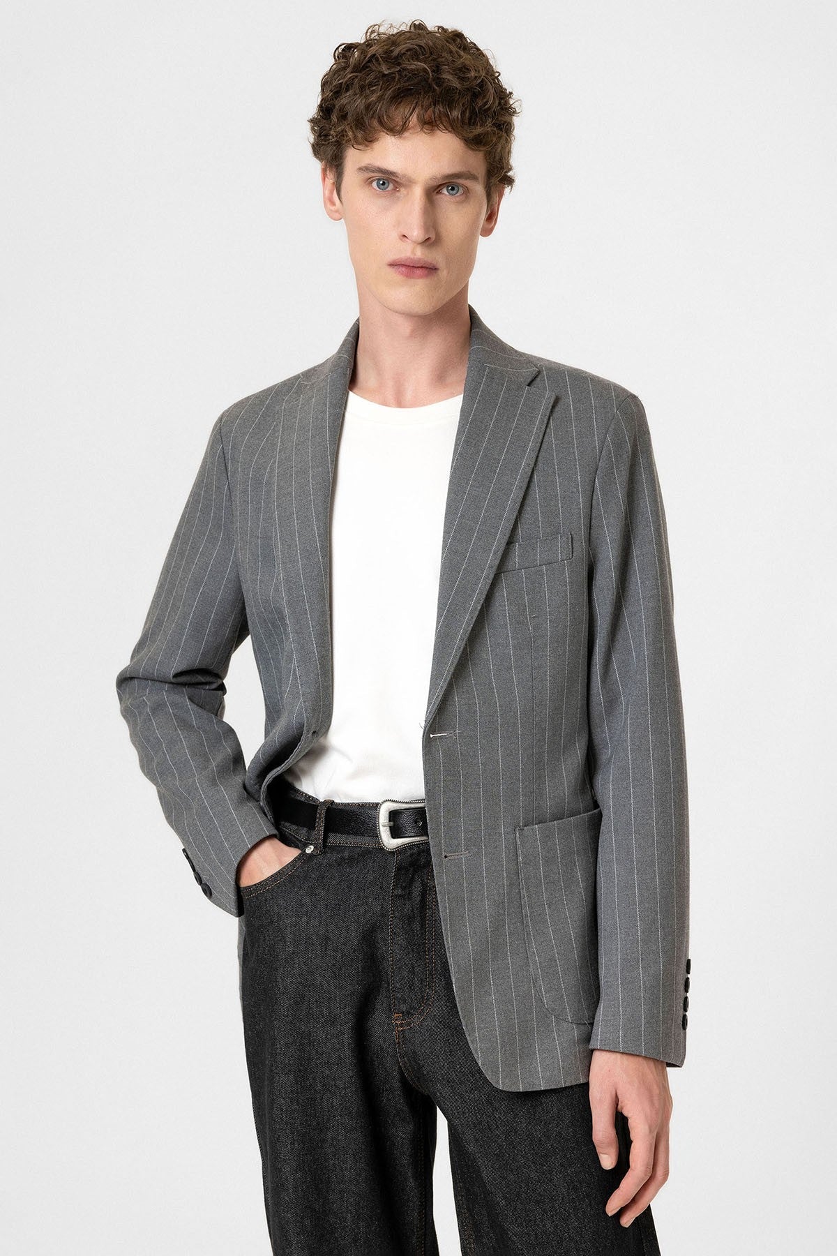 Antioch Slim Fit Çizgili Erkek Blazer Ceket
