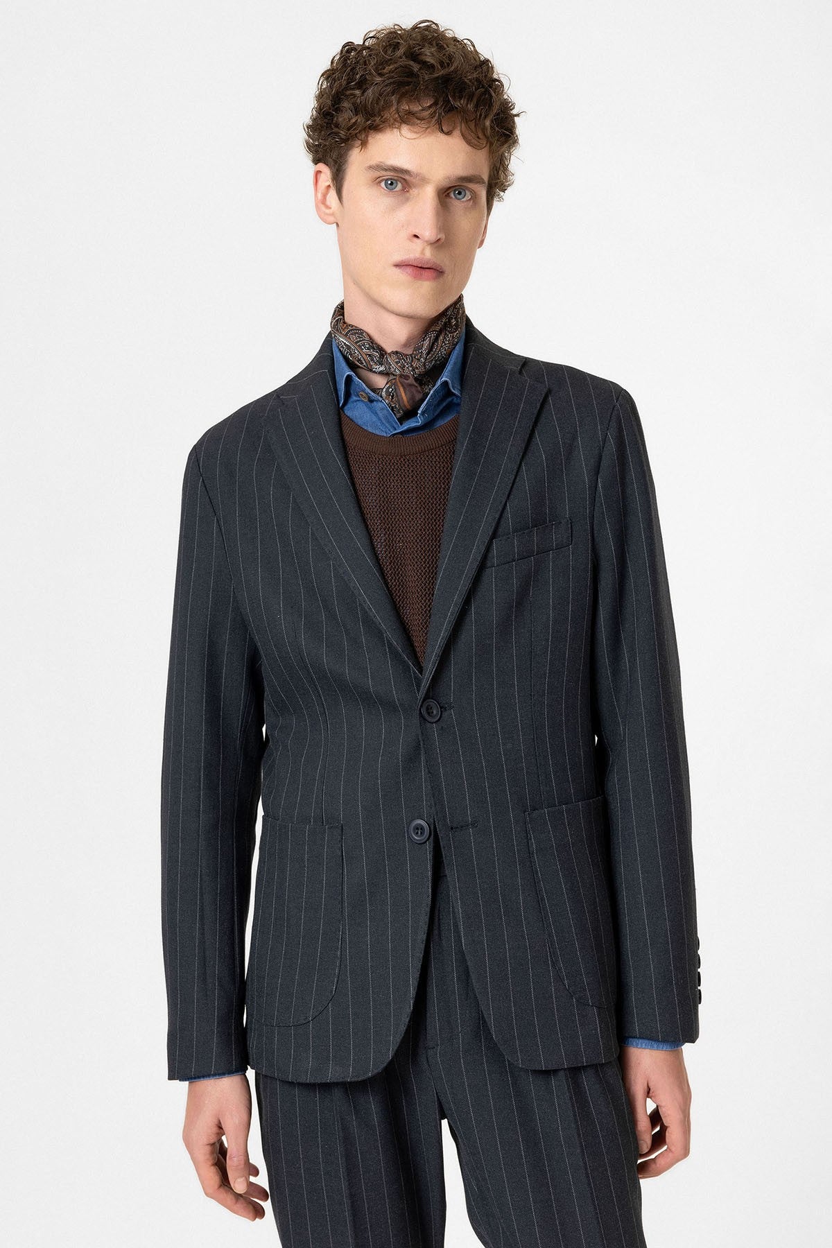 Antioch Slim Fit Çizgili Erkek Blazer Ceket