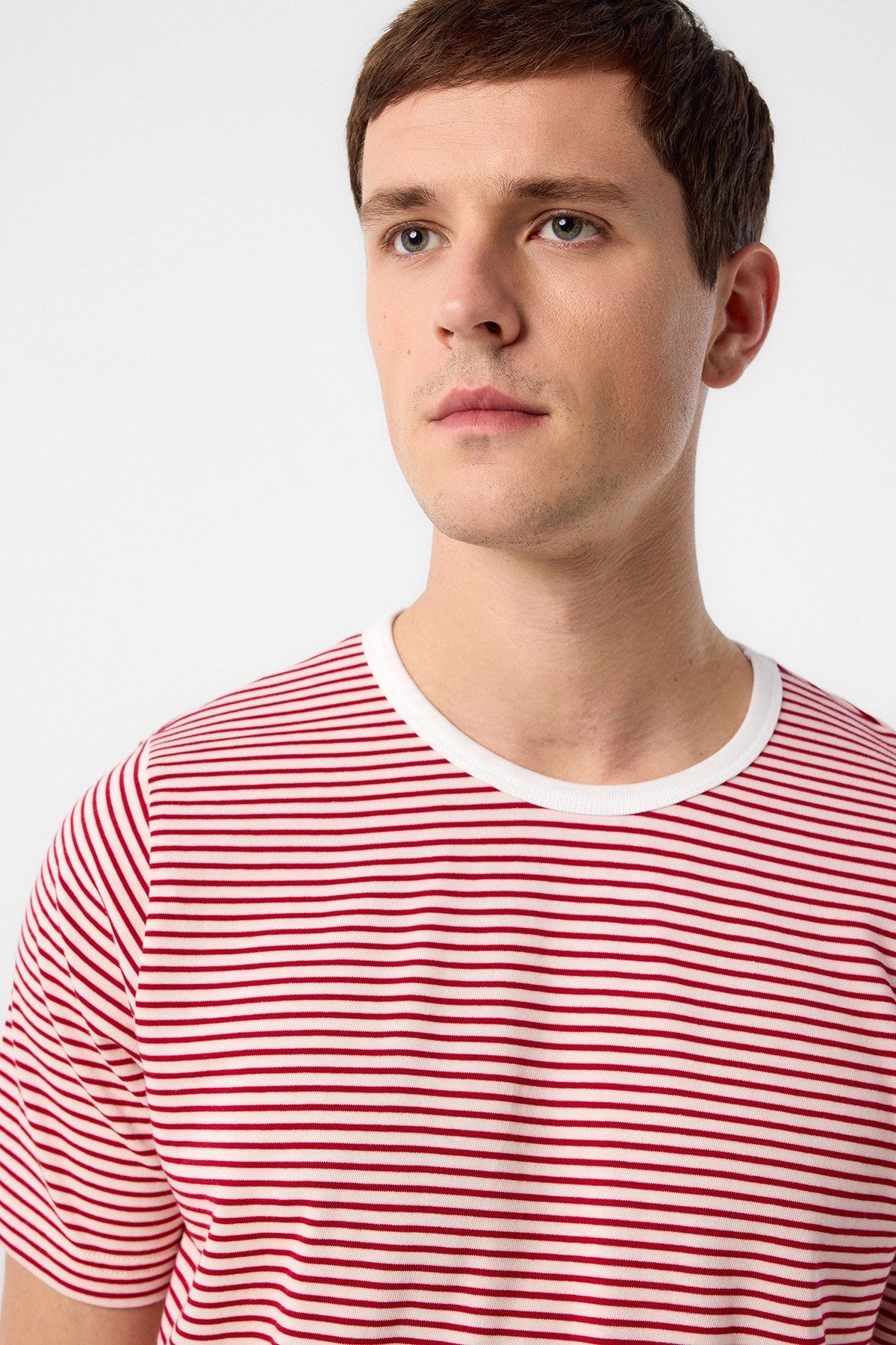 Antioch Regular Fit Çizgili Erkek T-Shirt